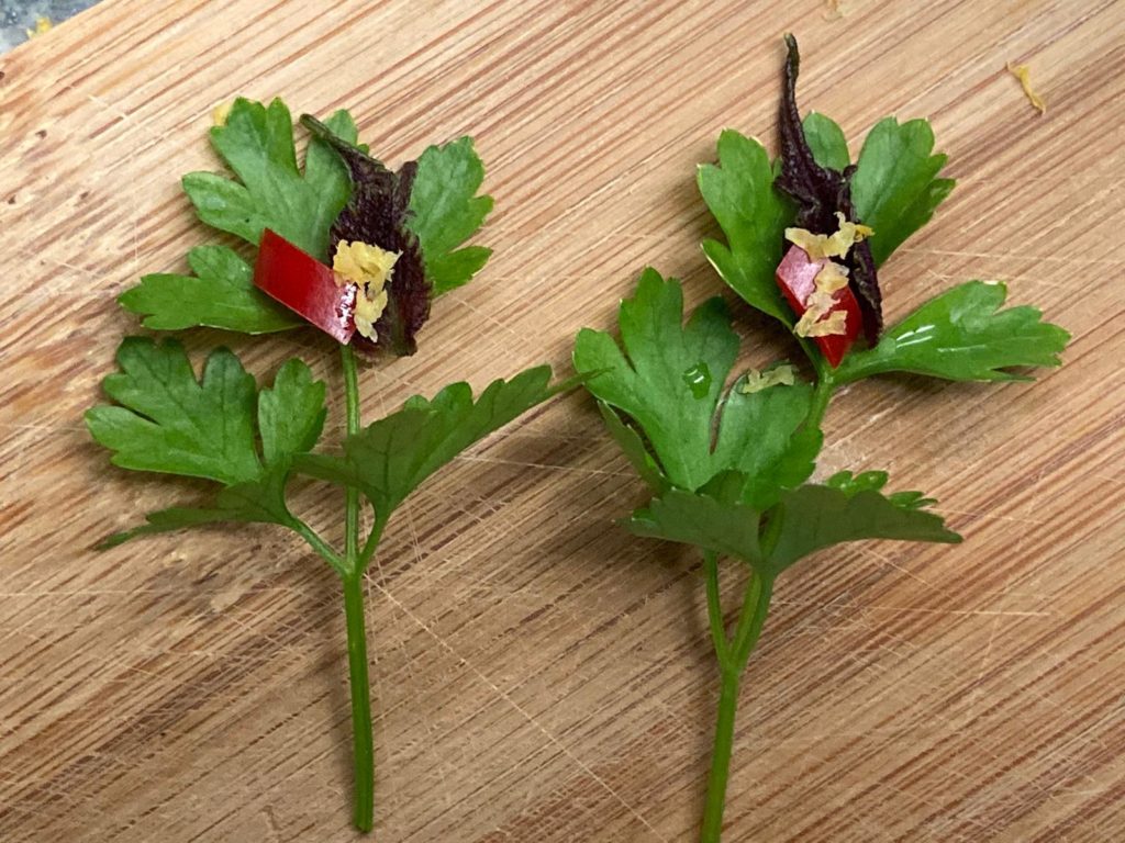 Deko für die Scharfe Spargelsuppe mit Ingwer und Zitronengras